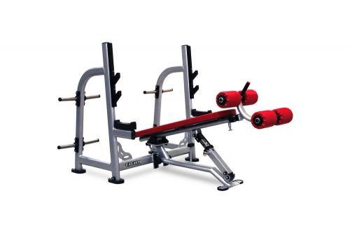 Atlantis Strength, Atlantis Strength P-339 Flat / Decline Bench Press with pivot