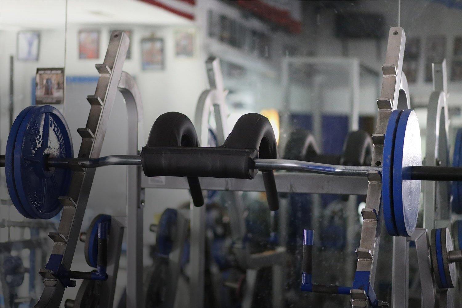 Show Me Weights, Marrs Bar - Safety Squat Bar