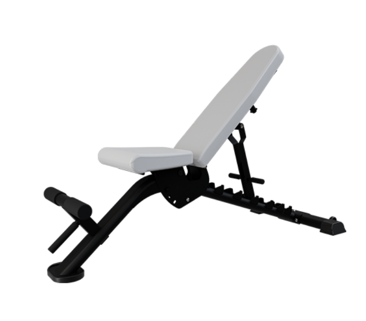 Core Health, Nautilus Multi-Adjustable Bench 100