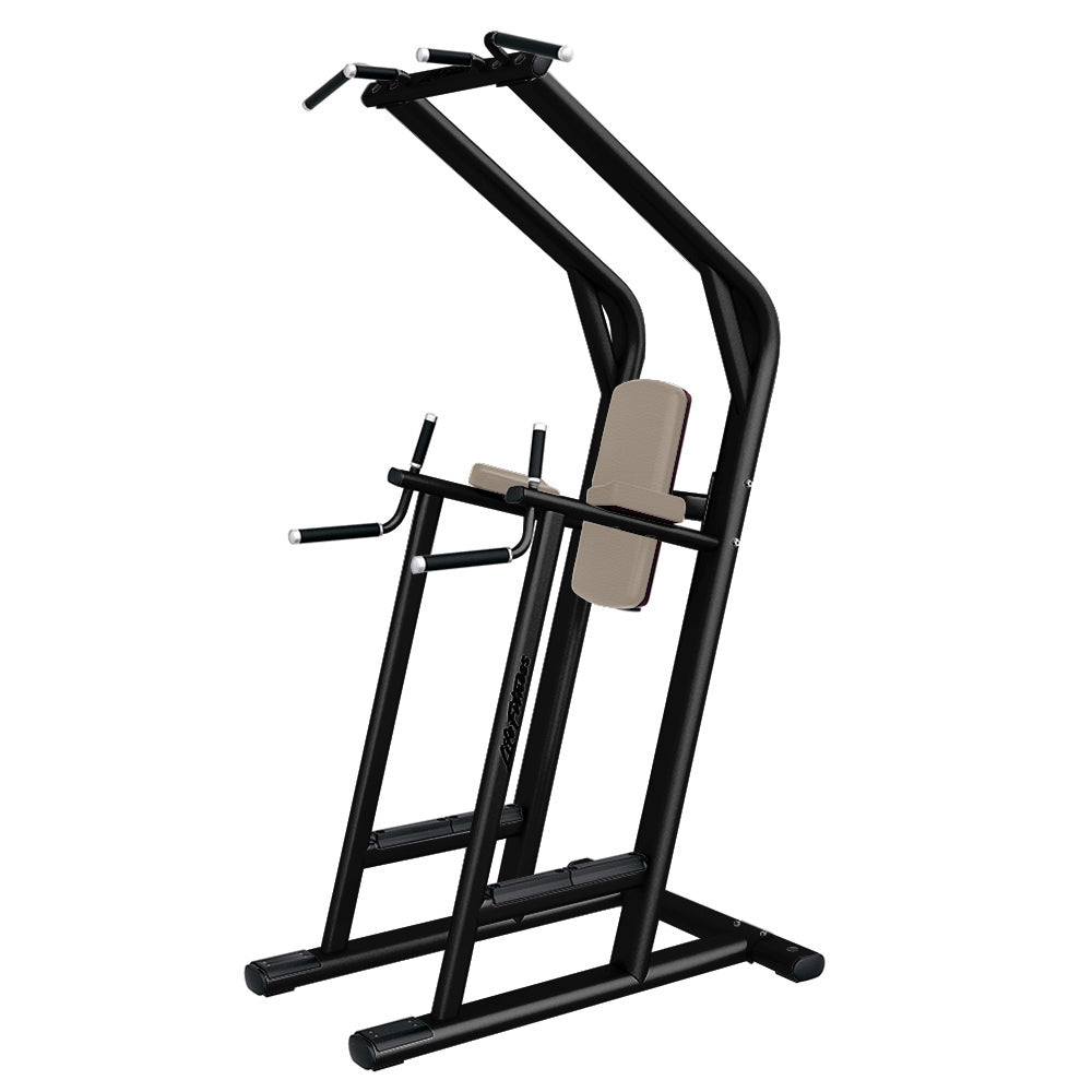 Life Fitness, Signature Series Chin/Dip/Leg Raise - Outlet