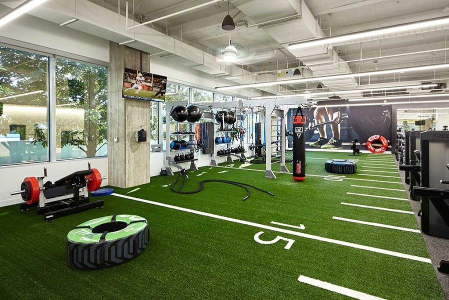 Warrior Strength Equipment, Warrior Sports Performance Turf